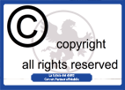 Copyright e Diritto d'Autore
